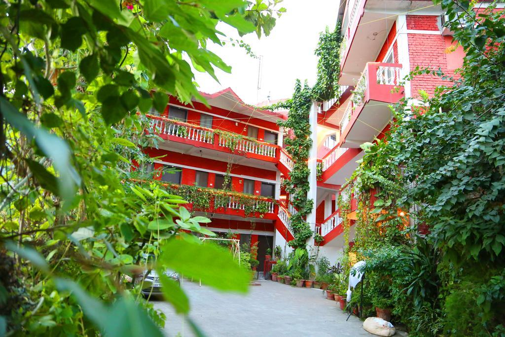 Divine Ganga Cottage Rishikesh Ngoại thất bức ảnh