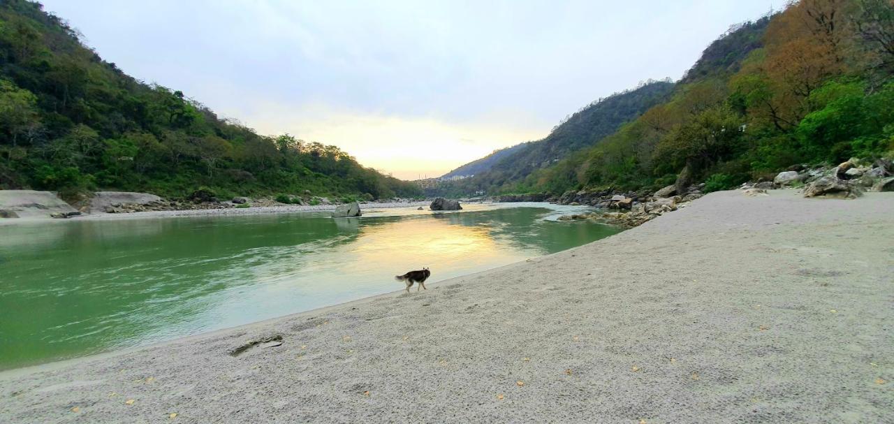 Divine Ganga Cottage Rishikesh Ngoại thất bức ảnh
